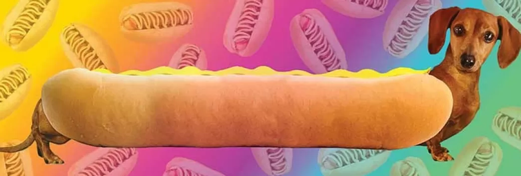 Aquarius Hondenpuzzels>: Wonderful Wieners (1000) Panoramapuzzel