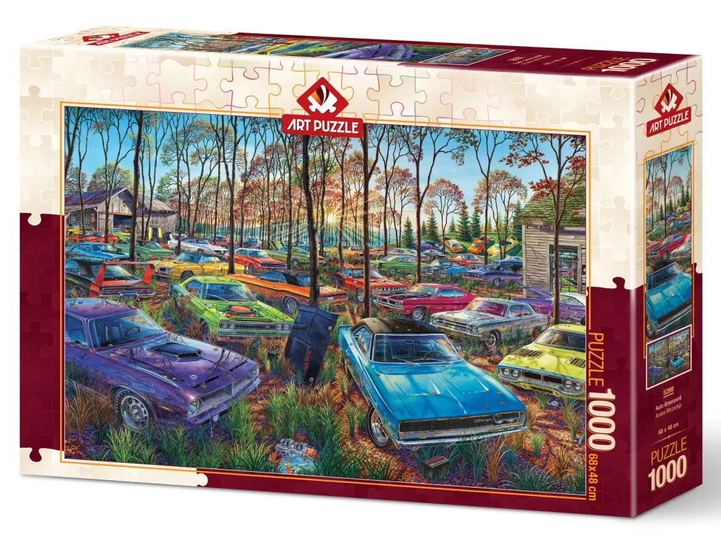 Art Puzzle Autopuzzels>: Auto Graveyard (1000) Legpuzzel