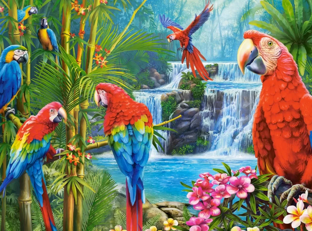 Castorland Vogelpuzzels>: Parrot Meeting (2000) Vogelpuzzel