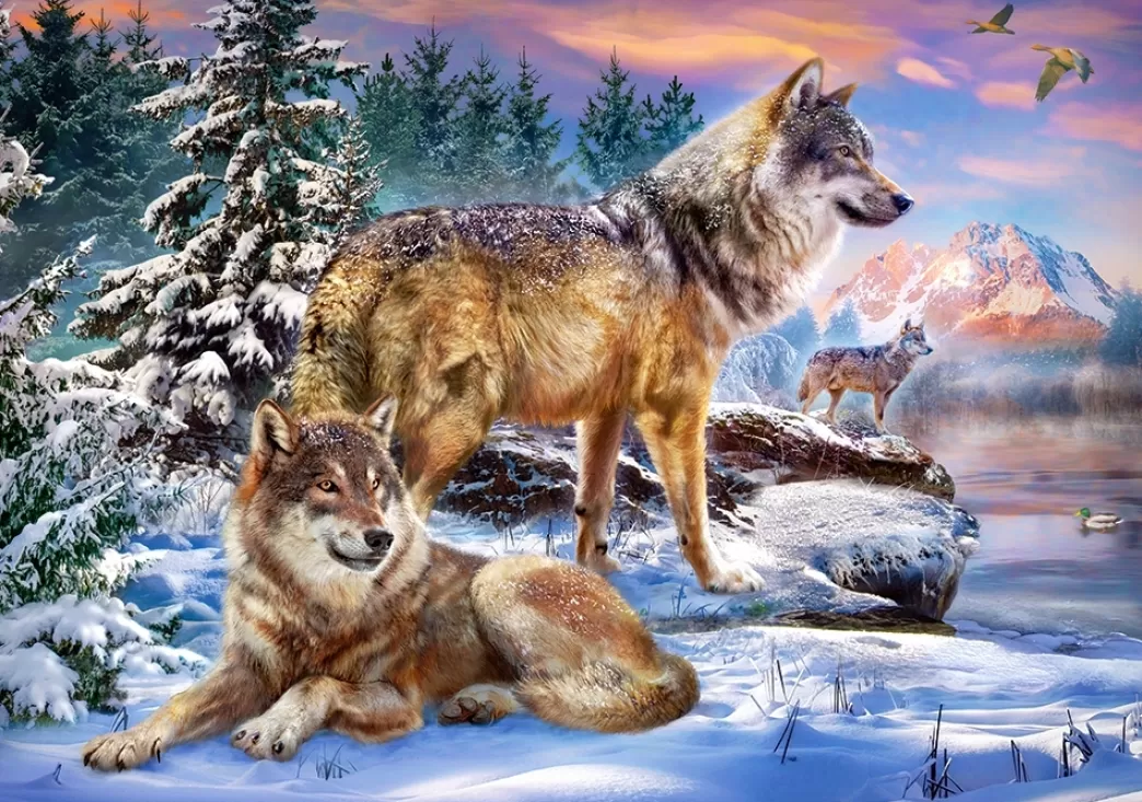 Castorland Wolvenpuzzels>: Wolfish Wonderland (500) Wolvenpuzzel