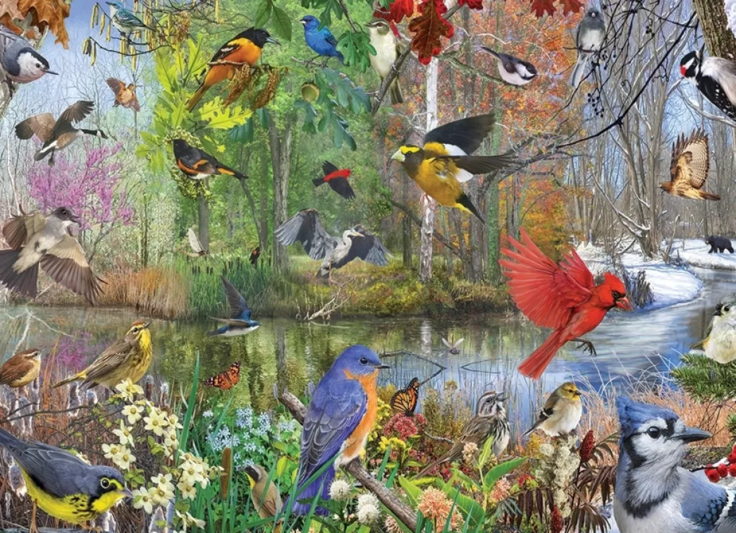 Cobble Hill Vogelpuzzels>: Birds Of The Season (1000) Vogelpuzzel