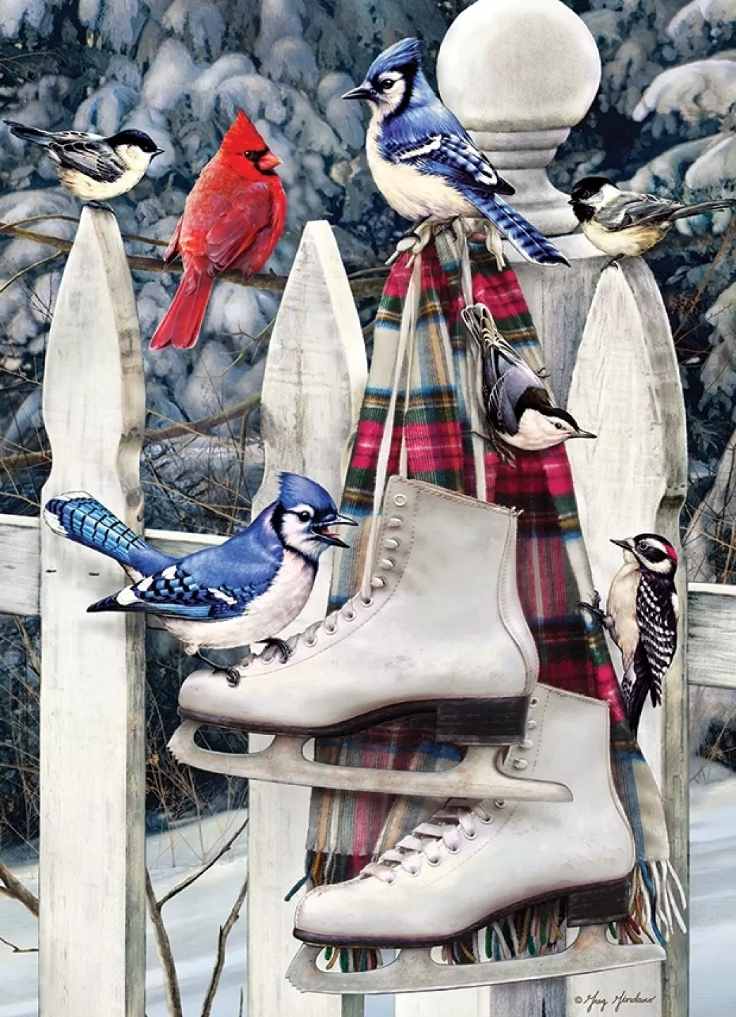 Cobble Hill Vogelpuzzels>: Birds With Skates (500Xl) Verticale Puzzel