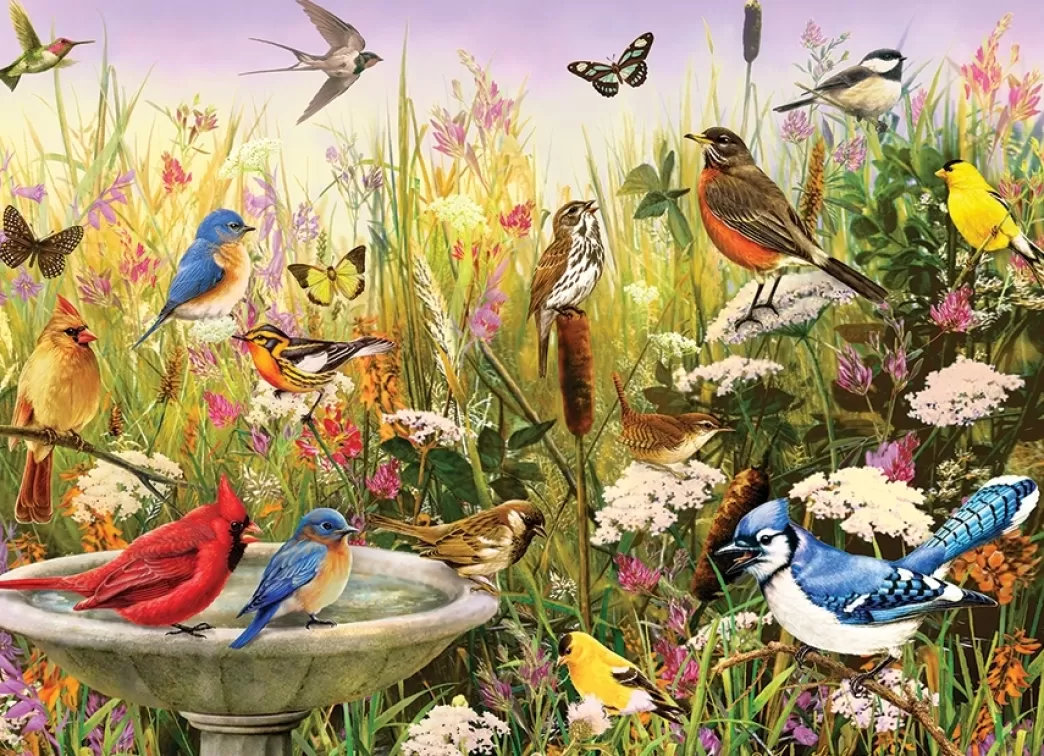 Cobble Hill Vogelpuzzels>: Feathered Friends (1000) Vogelpuzzel