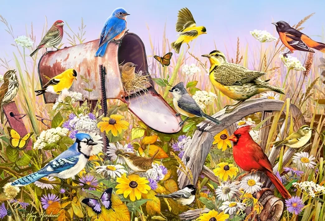 Cobble Hill Vogelpuzzels>: Field Song (2000) Vogelpuzzel