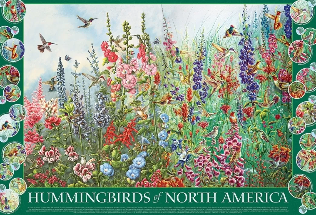 Cobble Hill Vogelpuzzels>: Hummingbirds Of North America (2000) Vogelpuzzel