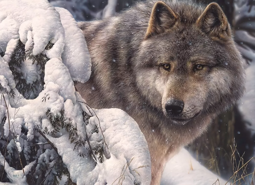 Cobble Hill Wolvenpuzzels>: Master Of The North (1000) Wolvenpuzzel