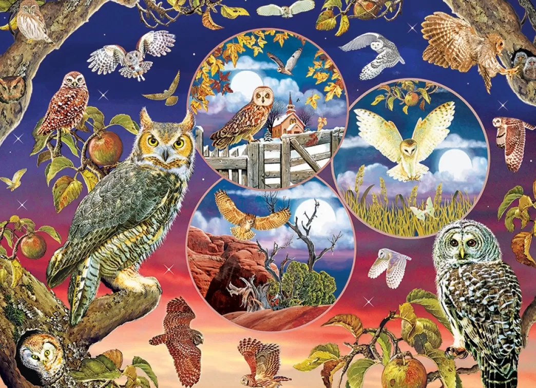 Cobble Hill Vogelpuzzels>: Owl Magic (1000) Legpuzzel