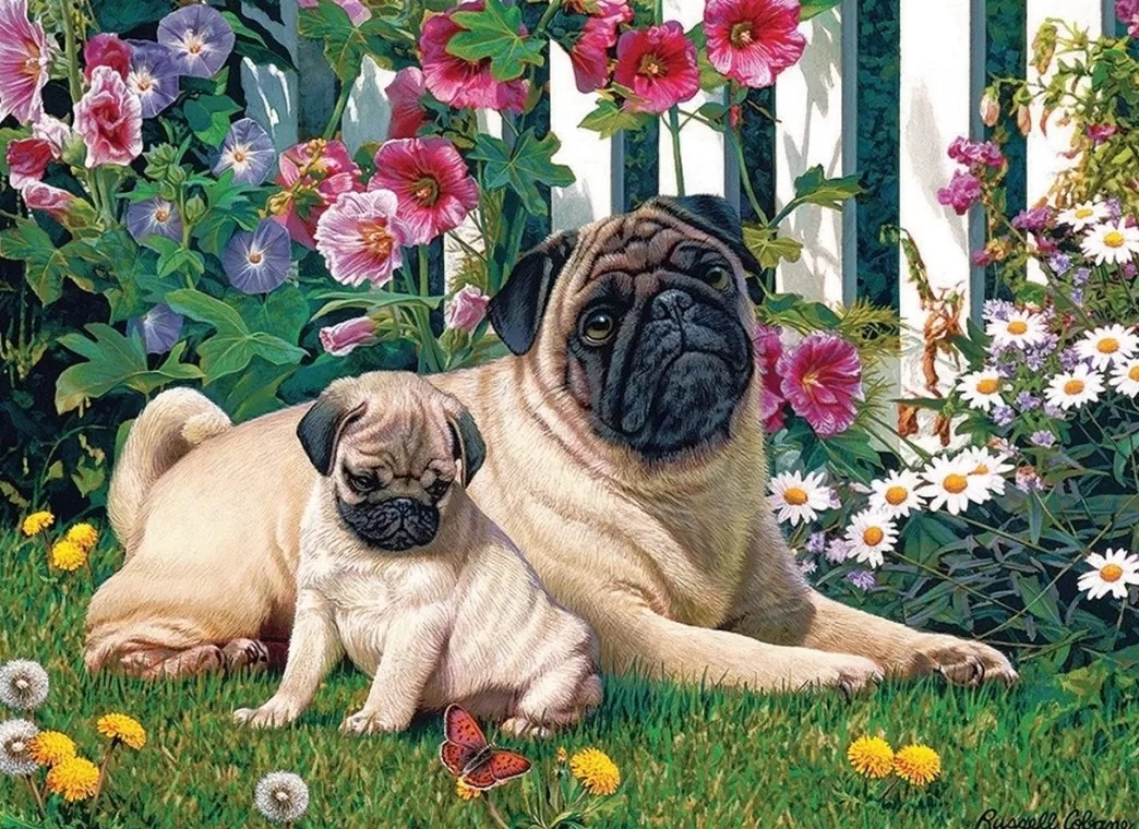 Cobble Hill Hondenpuzzels>: Pug Family (1000) Hondenpuzzel