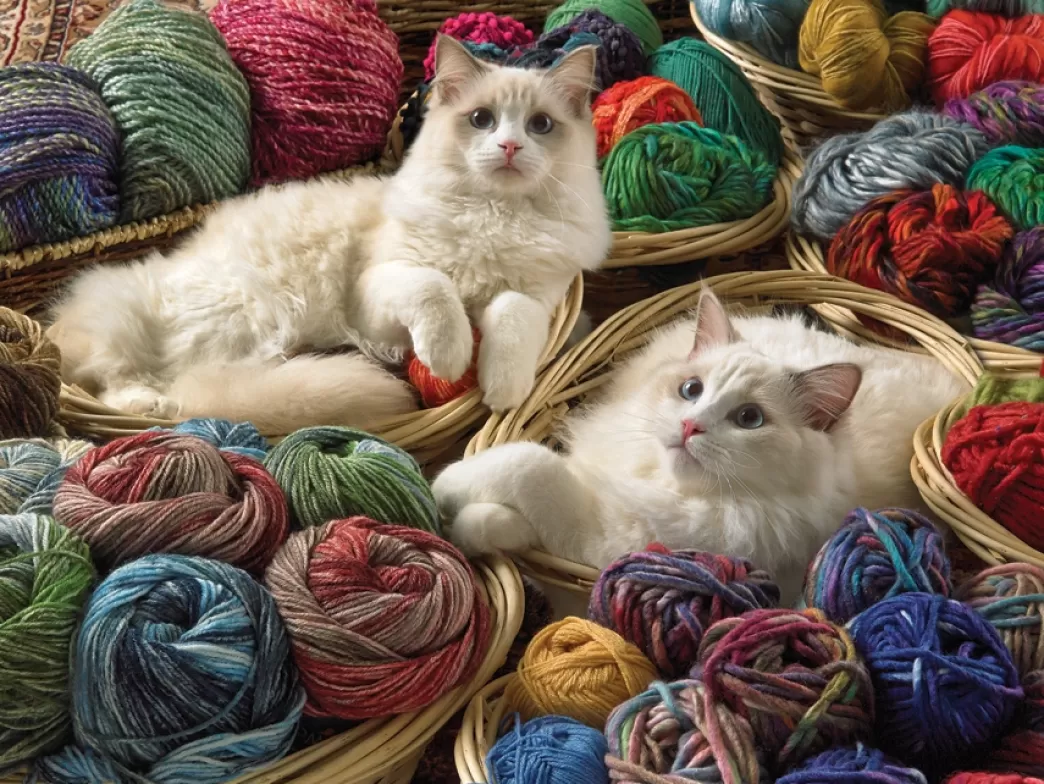 Cobble Hill Kattenpuzzels>: Ragdolls (275Xxl) - Easy Handling Legpuzzel