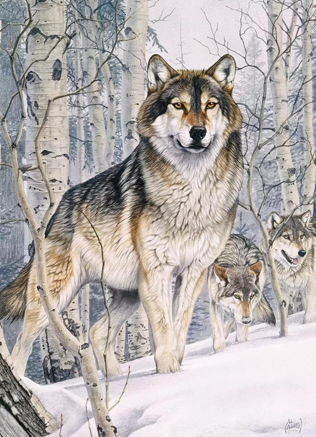 Cobble Hill Wolvenpuzzels>: Second Glance (1000) Verticale Puzzel