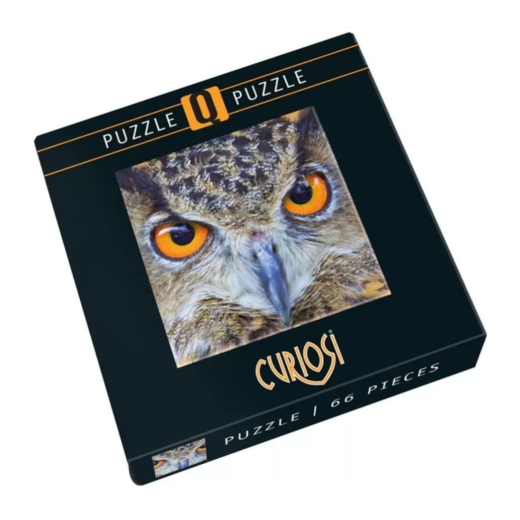 Curiosi Vogelpuzzels>: Owl (66) Uilenpuzzel