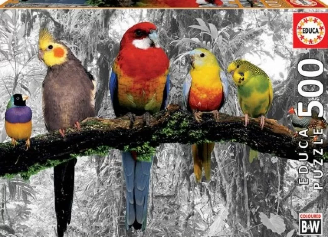 Educa Vogelpuzzels>: Birds On The Jungle (500) Legpuzzel