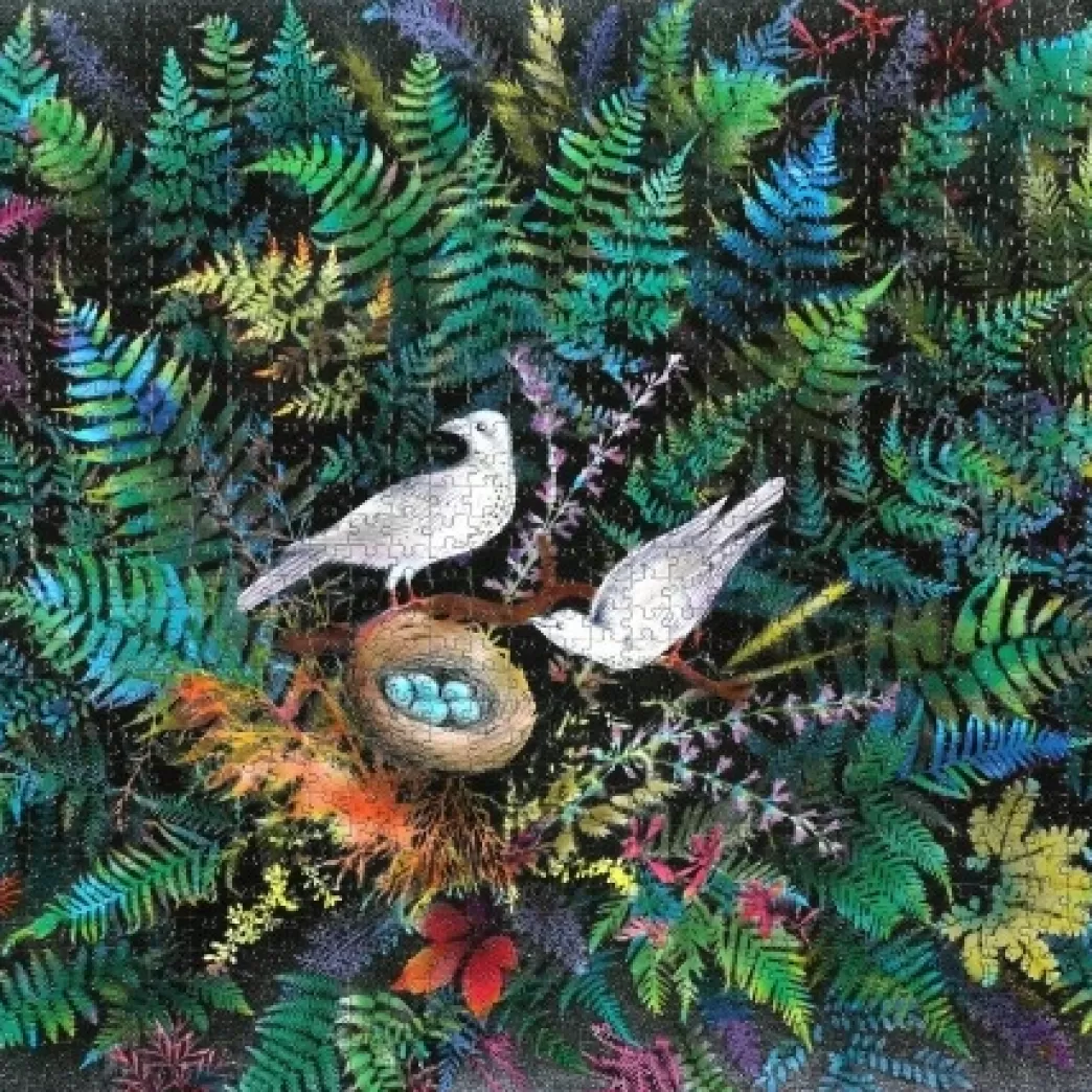 Eeboo Vogelpuzzels>: Birds In Fern (1000) Vogelpuzzel