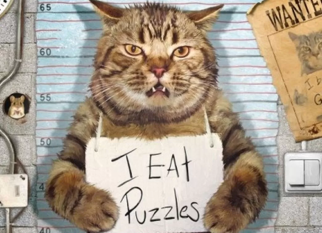 Eurographics Kattenpuzzels>: Feline Felon (500Xl) Legpuzzel