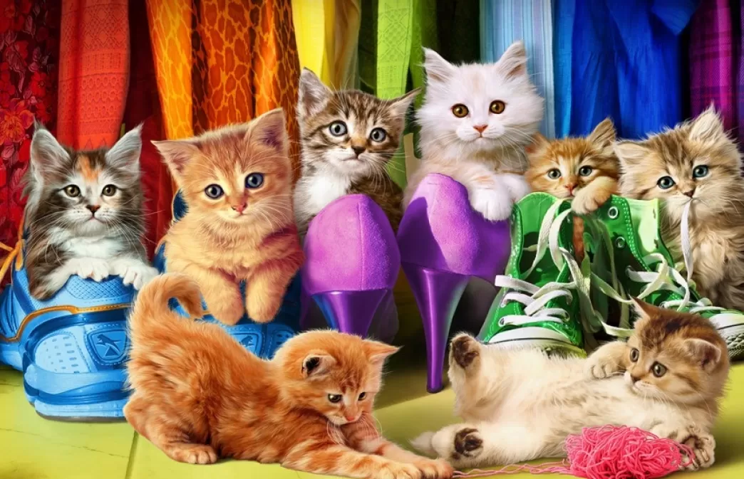 Eurographics Kattenpuzzels>: Kitten Foodware (1000) Kattenpuzzel