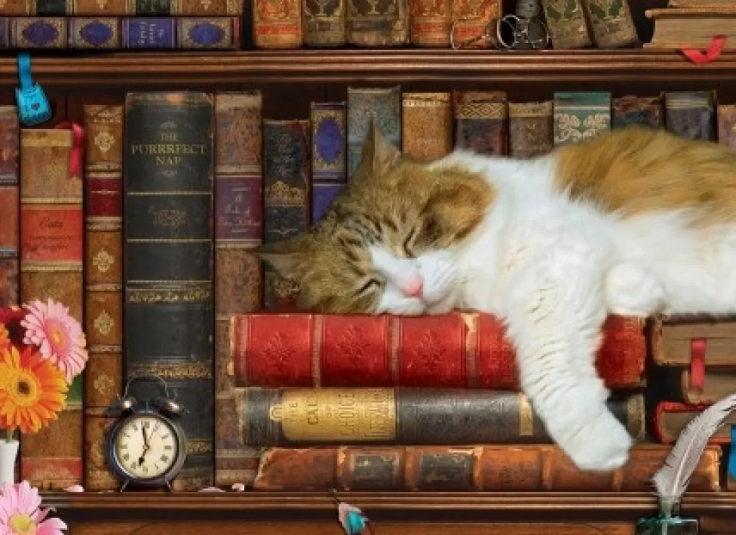 Eurographics Kattenpuzzels>: The Cat Nap (500Xl) Kattenpuzzel