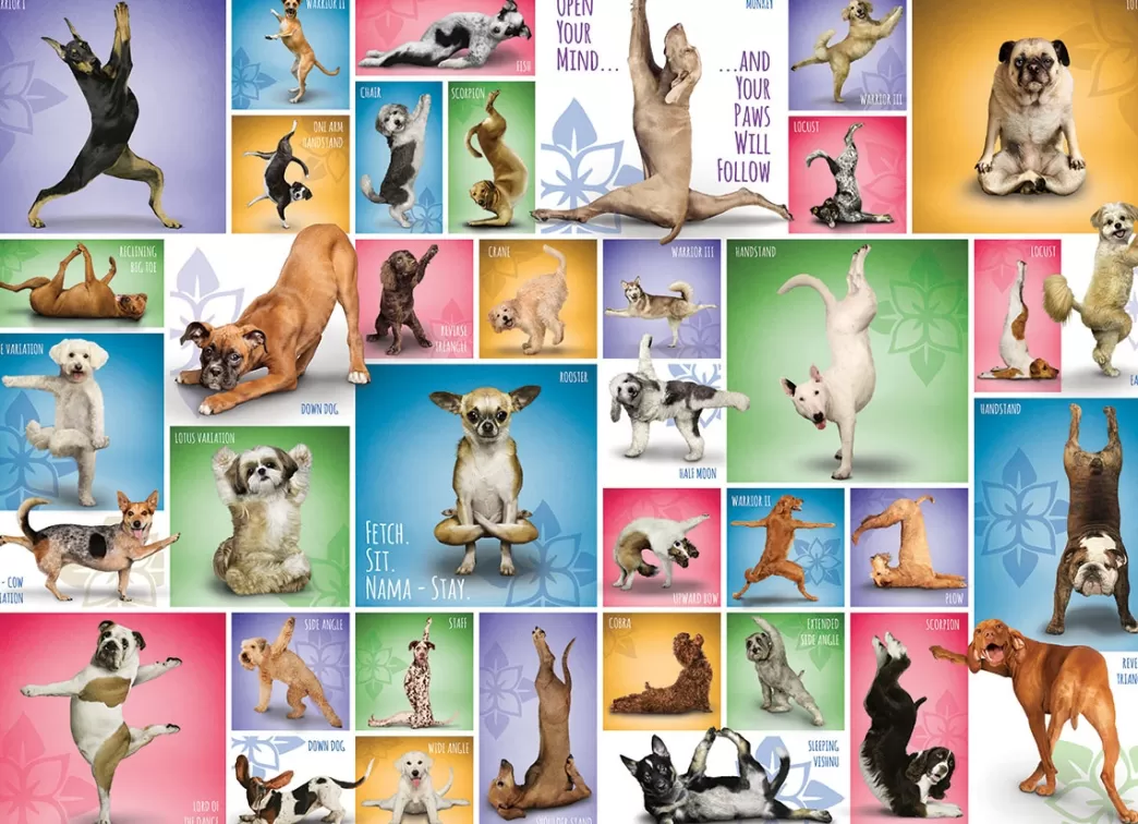 Eurographics Hondenpuzzels>: Yoga Dogs (1000) Hondenpuzzel