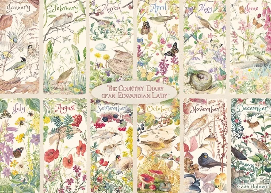 Falcon Collage Puzzels>: A Year Of The Country Diary (1000) Legpuzzel