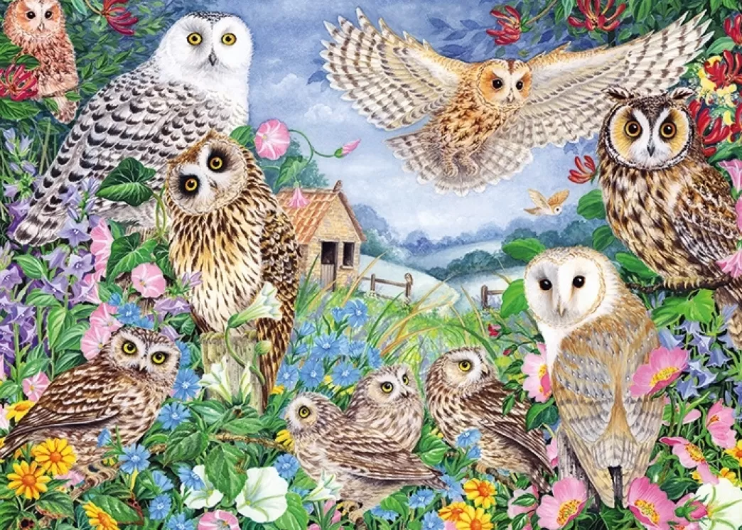 Falcon Vogelpuzzels>: Owls In The Wood - Claire Comerford (1000) Uilenpuzzel