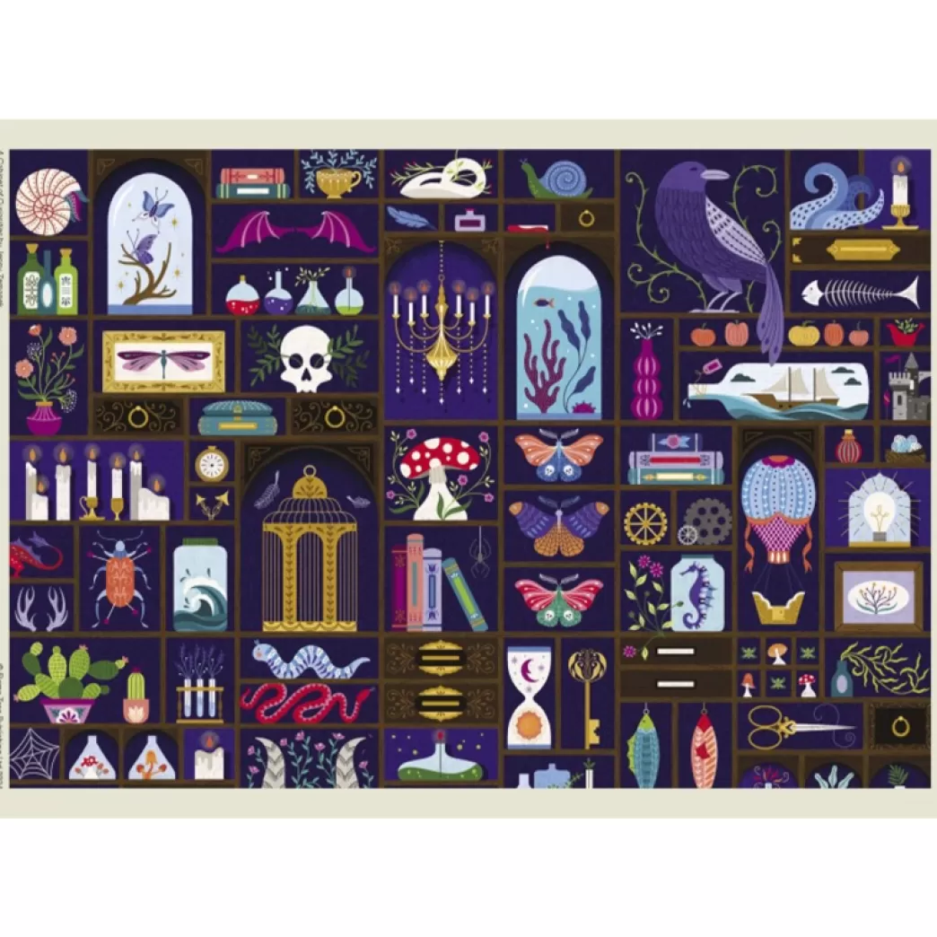 Flame Tree Publishing Collage Puzzels>Flame Tree: A Cabinet Of Curiosities (1000) Legpuzzel