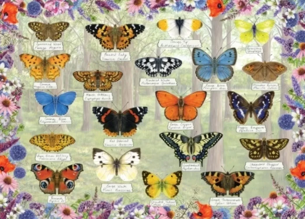 Gibsons Vlinderpuzzels>: Beautiful Butterflies (1000) Vlinderpuzzel