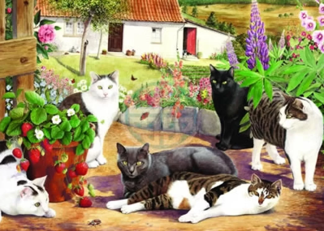 House of Puzzles Kattenpuzzels>: Cool Cats (500Big) Kattenpuzzel