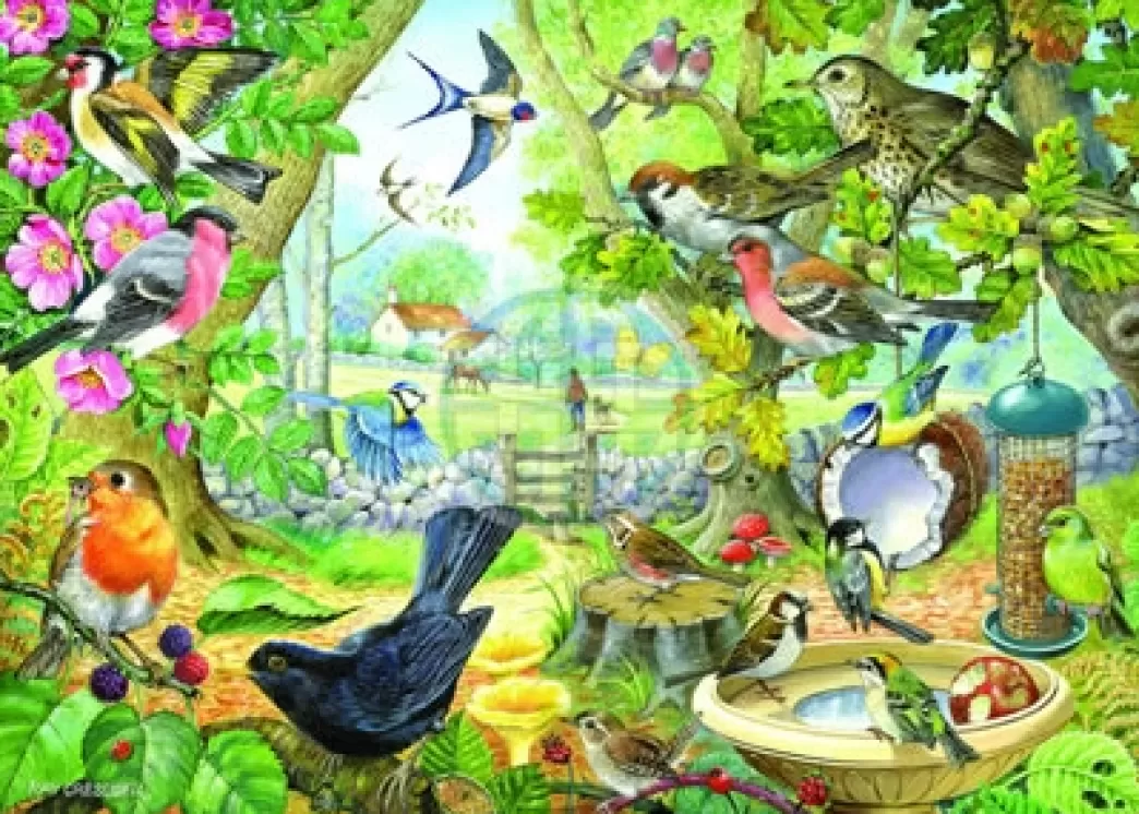 House of Puzzles Vogelpuzzels>: Dawn Chorus (1000) Legpuzzel