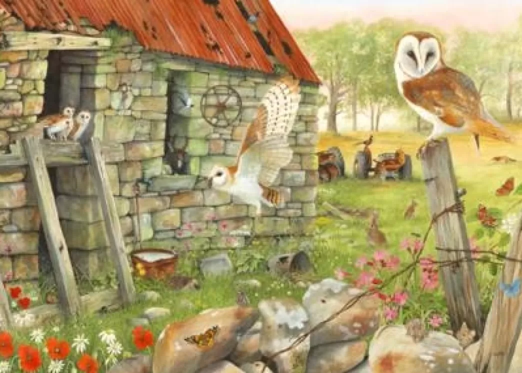 House of Puzzles Vogelpuzzels>: Dawn Flight (1000) Legpuzzel