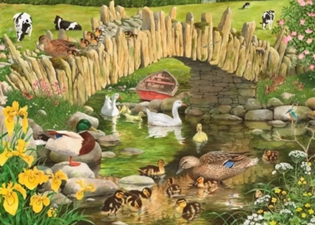 House of Puzzles Vogelpuzzels>: Duck, Duck, Goose (250Big) Legpuzzel