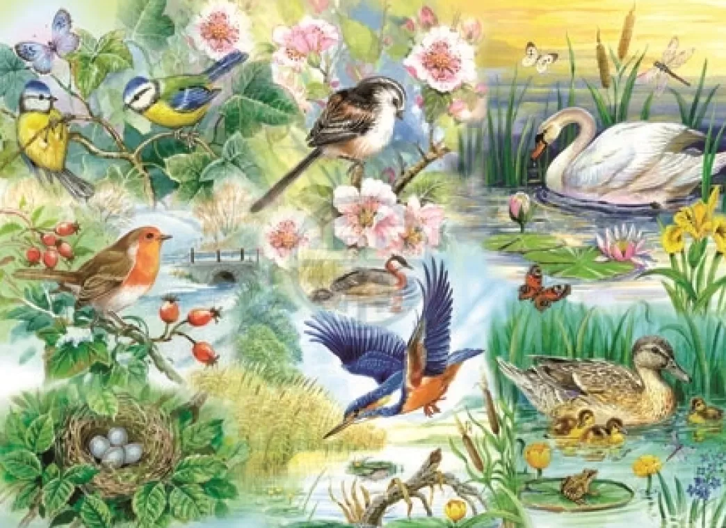 House of Puzzles Vogelpuzzels>: Feathered Friends (250Big) Vogelpuzzel