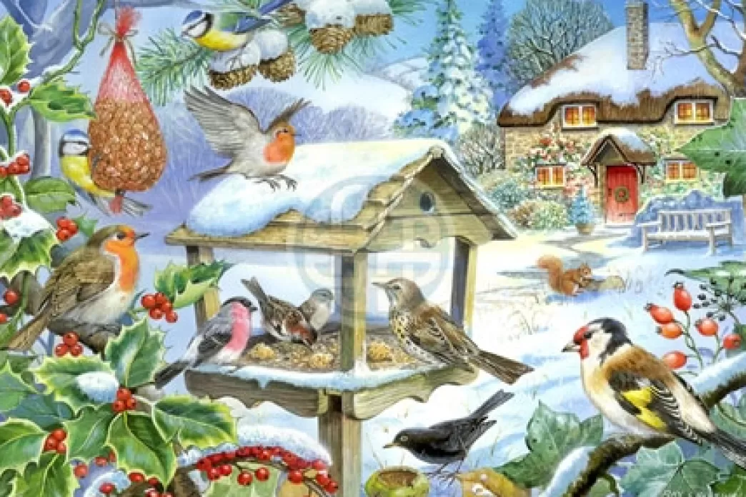 House of Puzzles Vogelpuzzels>: Feed The Birds (250Big) Legpuzzel