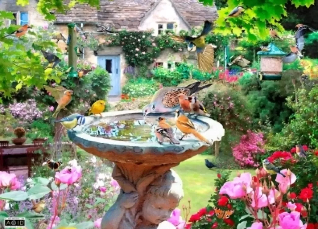 House of Puzzles Vogelpuzzels>: Summer Birds (500) Legpuzzel