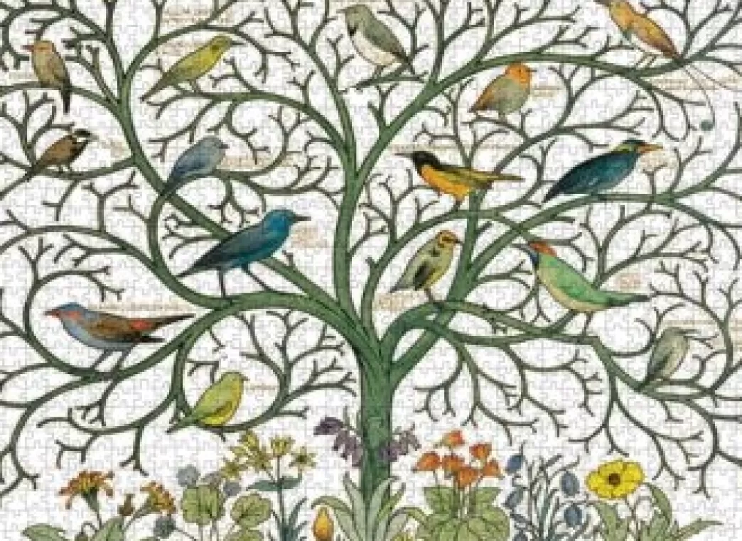 Museums and Galleries Vogelpuzzels>: Birds Of Many Climes (1000) Legpuzzel