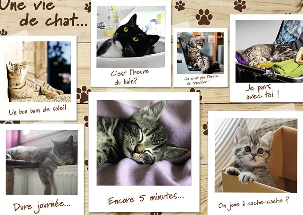 Nathan Collage Puzzels>: Une Vie De Chat (1500) Kattenpuzzel
