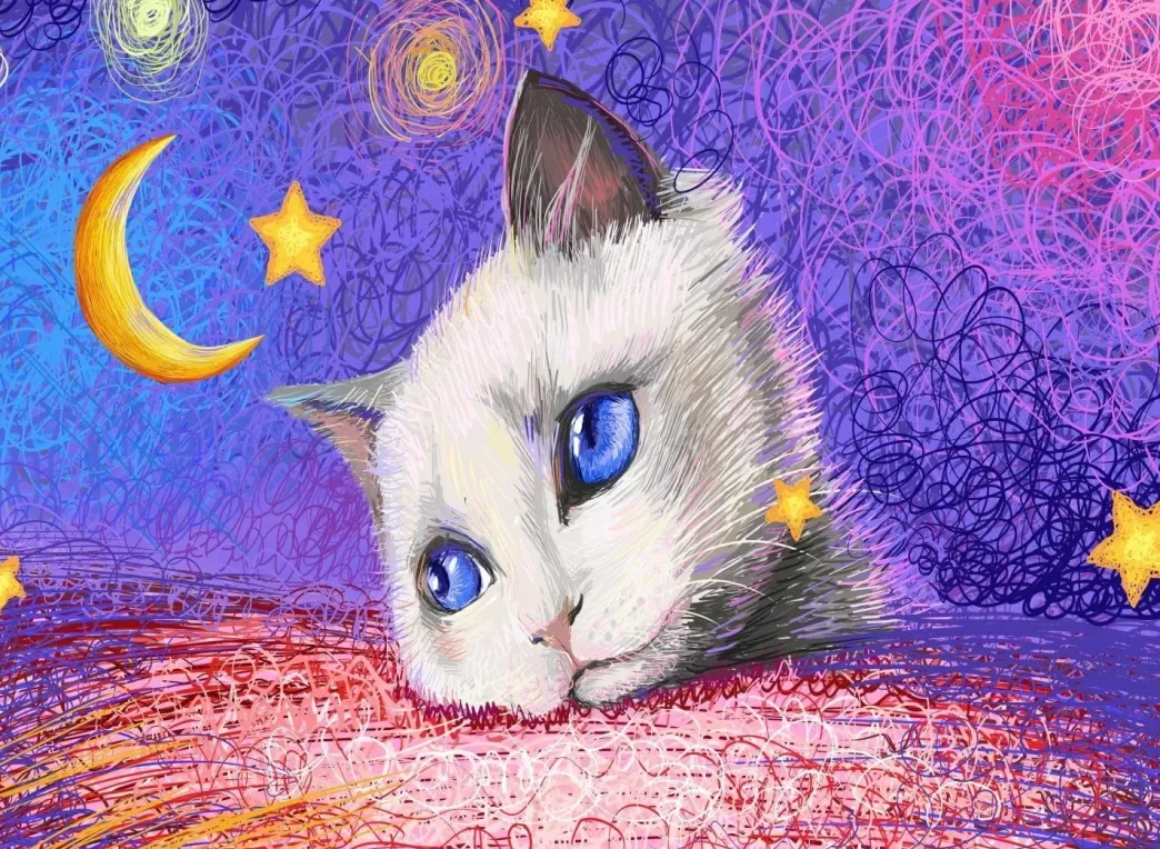 Nova Puzzle Kattenpuzzels>: Under The Stars - White Cat (1000) Kattenpuzzel