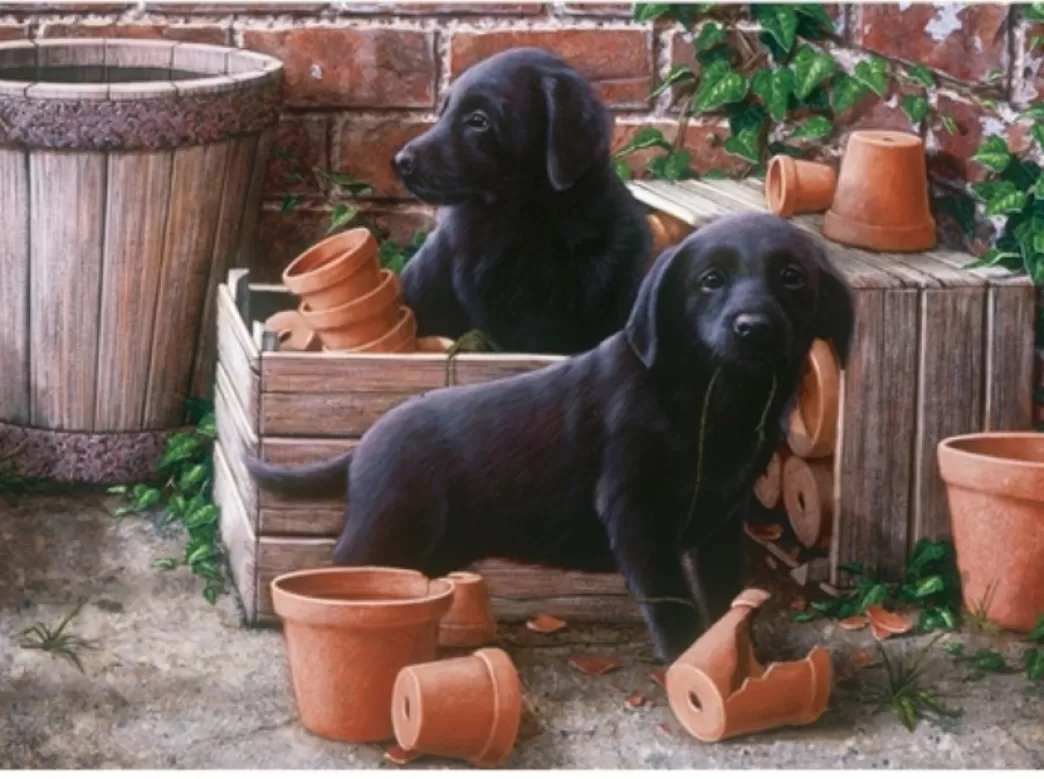 Otter House Hondenpuzzels>: Bill & Ben (500) Hondenpuzzel