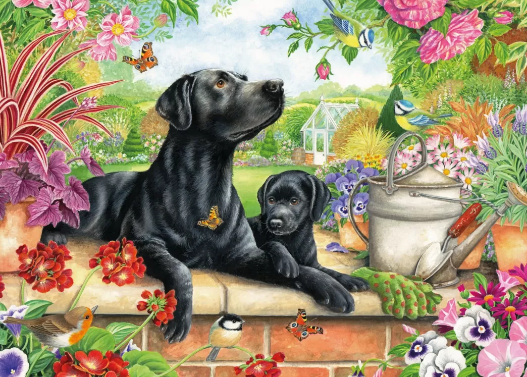 Otter House Hondenpuzzels>: Black Labrador And Pup (1000) Hondenpuzzel