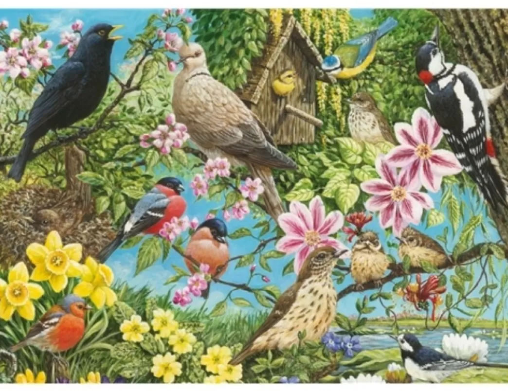 Otter House Vogelpuzzels>: Nature's Finest (500) Vogelpuzzel