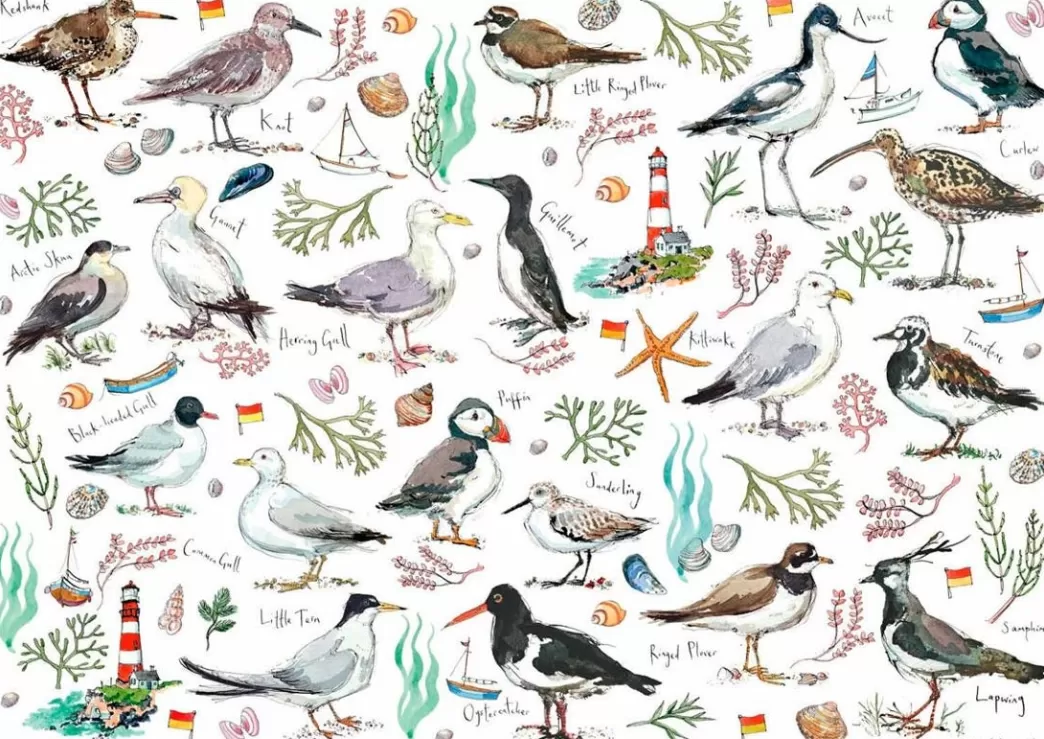 Otter House Vogelpuzzels>: Seabirds (500) Vogelpuzzel