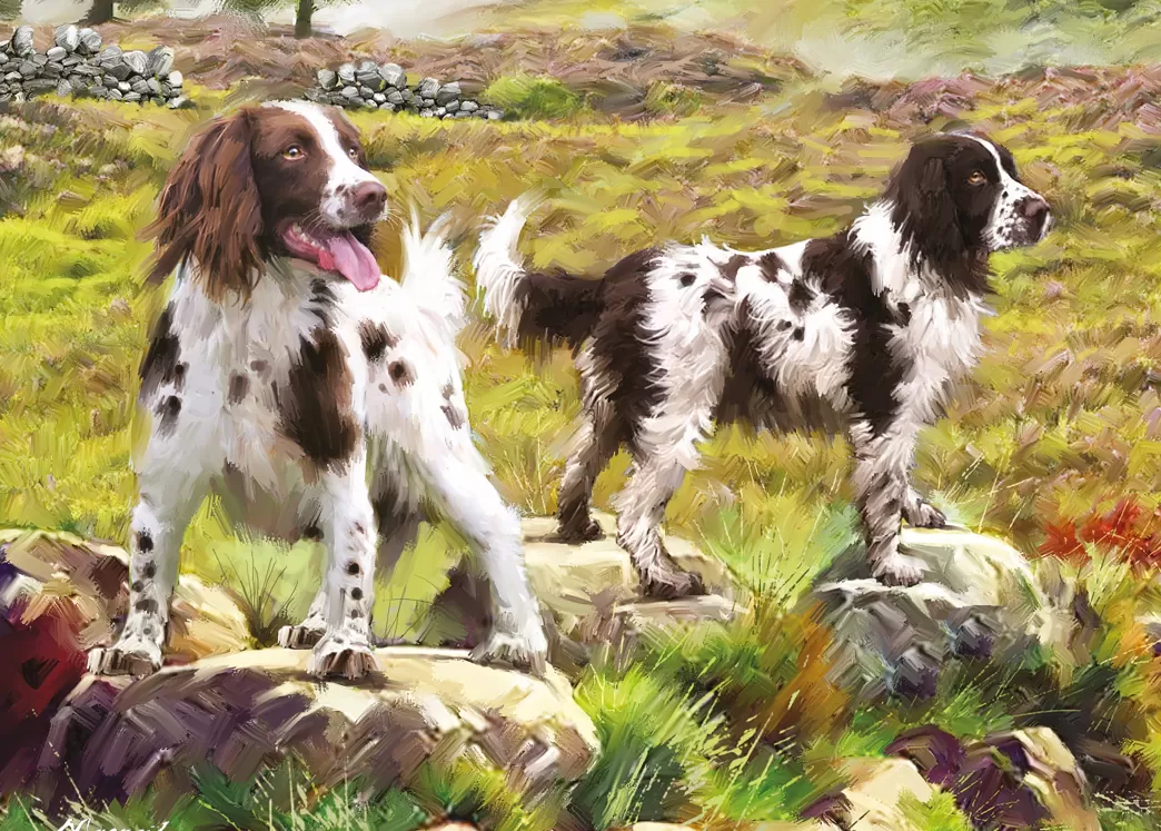 Otter House Hondenpuzzels>: Spaniels On The Moor (1000) Hondenpuzzel