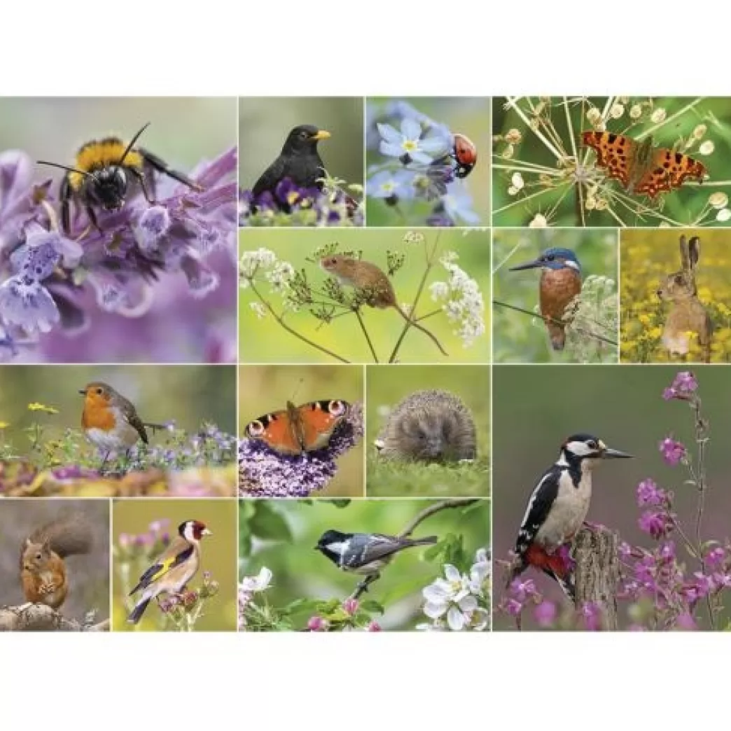 Otter House Vogelpuzzels>: Wildlife Wonder (1000) Legpuzzel
