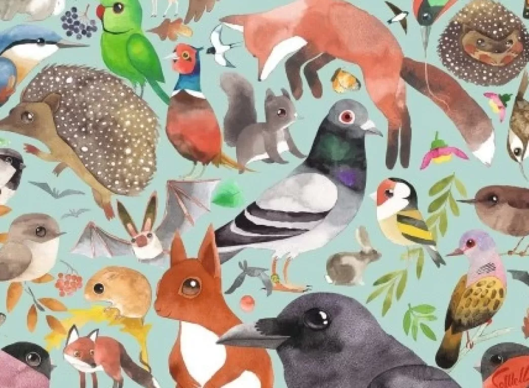 Ravensburger Vogelpuzzels>: Bezoekers Van De Tuin (500) Vogelpuzzel