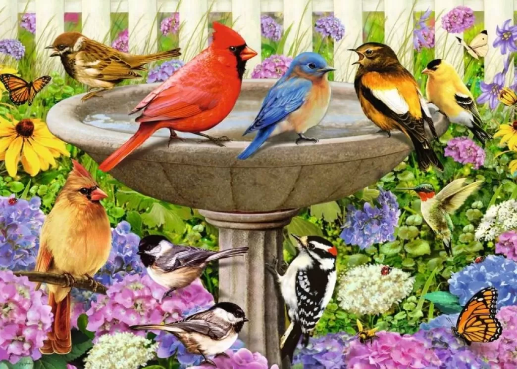 Ravensburger Vogelpuzzels>: Bij Het Vogelbadje - Greg Giordano (500Xl) Vogelpuzzel