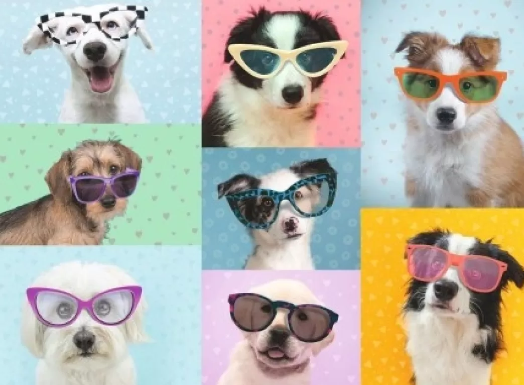 Ravensburger Hondenpuzzels>: Grappige Honden (150Xxl) Kinderpuzzel