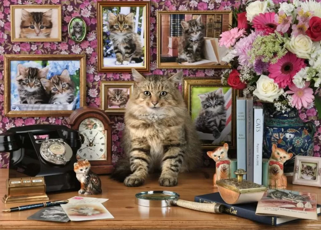 Ravensburger Kattenpuzzels>: Mijn Katjes (1000) Kattenpuzzel
