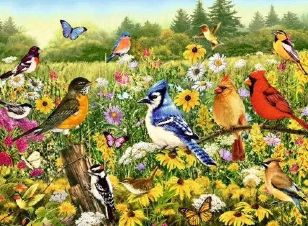 Ravensburger Vogelpuzzels>: Vogels In De Wei (500) Vogelpuzzel