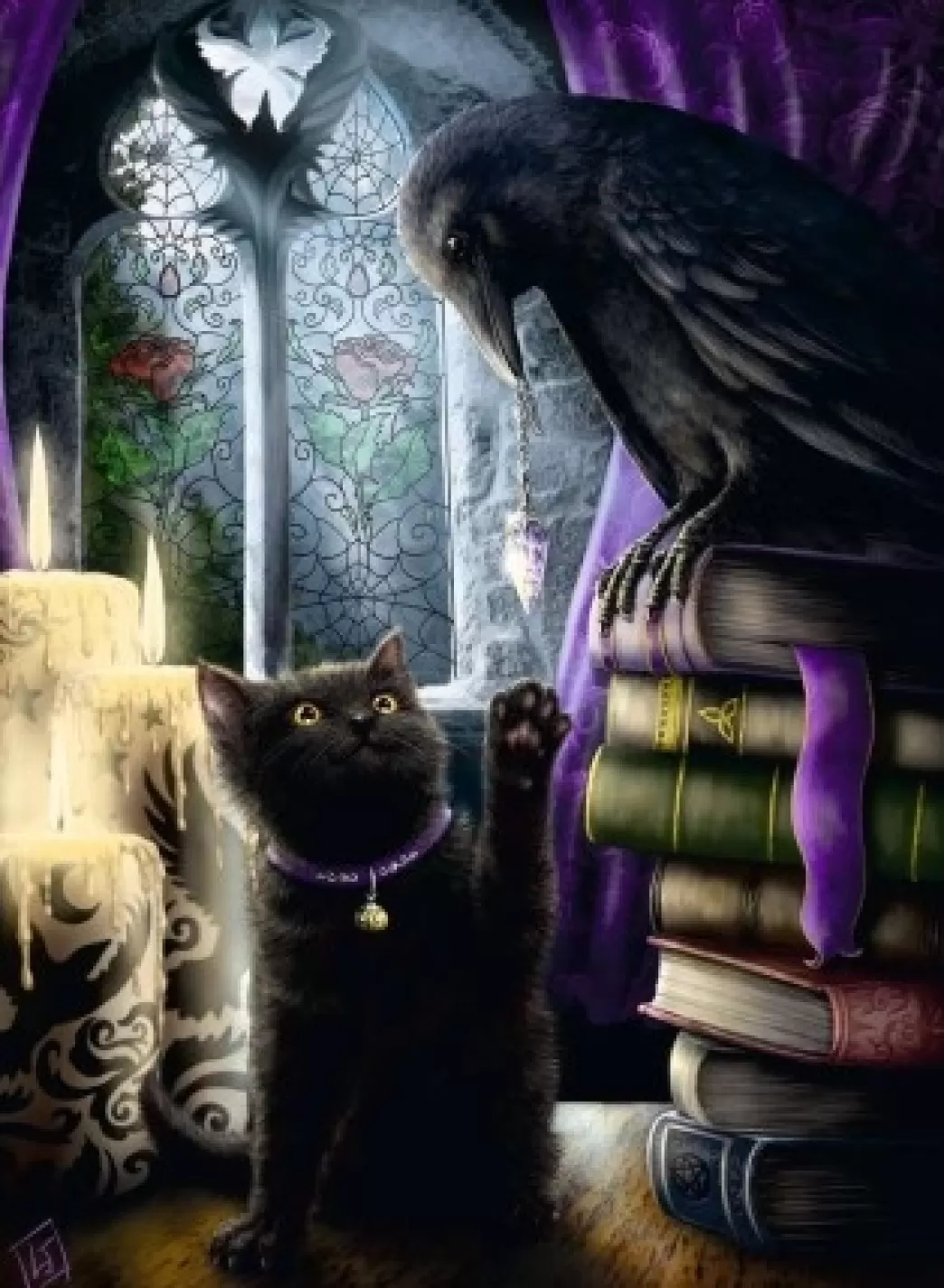 Ravensburger Vogelpuzzels>: Zwarte Kat En Raaf (500) Verticale Puzzel