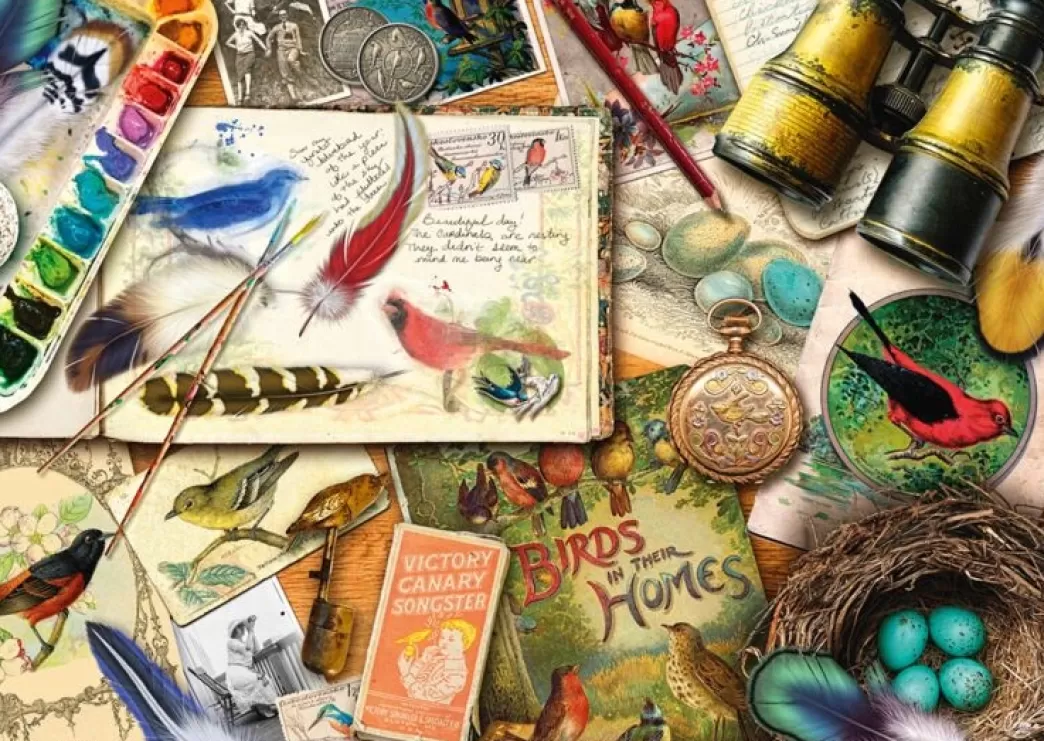 Schmidt Vogelpuzzels>: Aimee Stewart - Birdwatching (1000) Legpuzzel