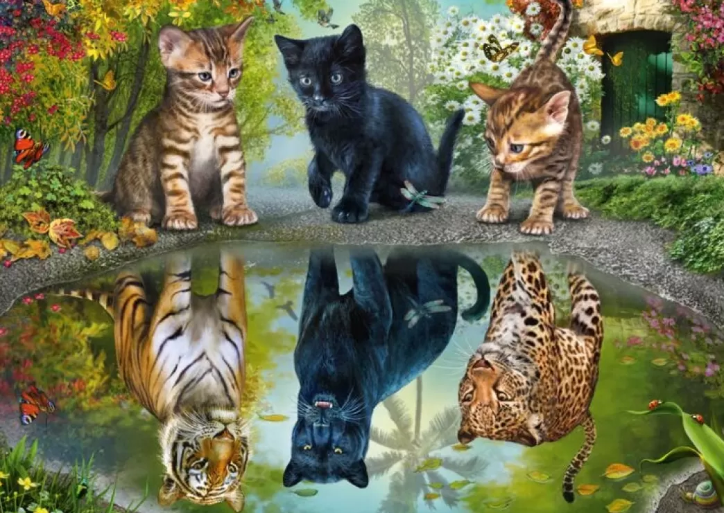 Schmidt Kattenpuzzels>: Dream Big (1000) Kattenpuzzel
