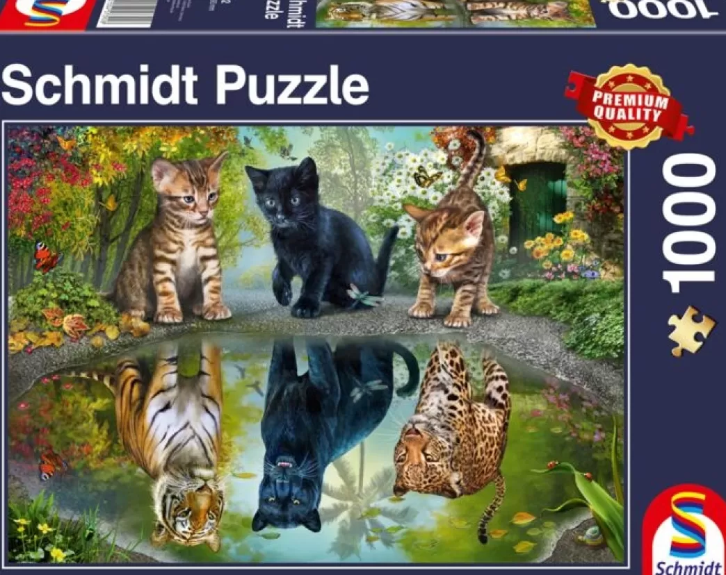 Schmidt Kattenpuzzels>: Dream Big (1000) Kattenpuzzel